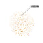 PURE ENERGY MIST CAFFEINA - 50 ml - Face D - Texture